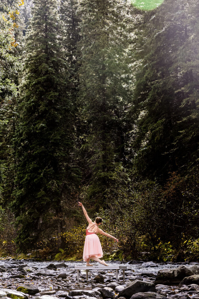 MBC Dancer in the woods